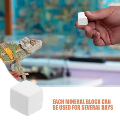 BESPORTBLE 12pcs PET Natural Blocks for Reptiles Supplement for Shell Growth and Health Essential Reptile Accessories for Terrarium Kits