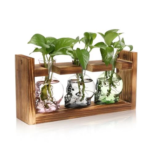 Plant Terrarium Propagation Stations Hydroponics Halloween Skull Planter | Vase skulls decor With Wooden Stand Gife for Father - color: Grey Green Pink