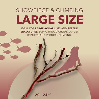 Manzanita Driftwood for Large Aquariums & Reptile Tanks (20-24””) 30–75 Gallon Tank | for Aquascaping & Terrarium Decor | Hardwood Branches, Unique Shapes | Large Fish, Monitor Lizards, Chameleons - size: Large