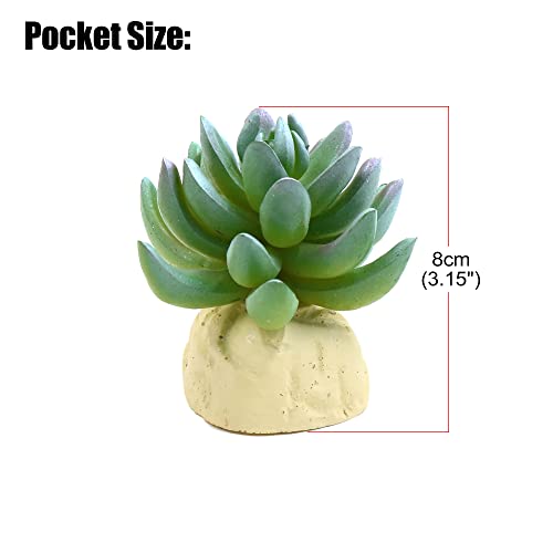 VOCOSTE Cactus Plant Terrarium Reptile Tank Habitat Decor for Reptiles, Plastic, Green