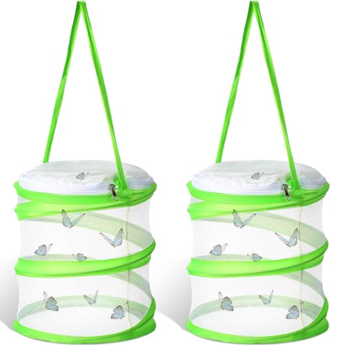 Sherr 2 Pcs Mini Butterfly Habitat Cage Clear Mesh Butterfly Net Cage Container Foldable Terrarium, 6.2x7.1inch (Green) - color: Green