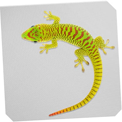 BESPORTBLE Reptile Carpet Mat for Bearded Dragons Snakes Lizards Tortoises Soft Terrarium Liner Easy to Clean Suitable for Reptile Tanks and Habitats