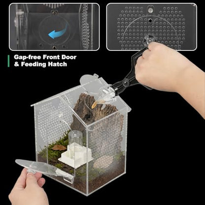 BestYiJo Jumping Spider Enclosure, 6 * 5 * 8" Lengthen Seamless Acrylic Terrarium with Feeder and Waterer – Ideal for Jumping Spiders, Praying Mantis, Scorpions, Hermit Crabs & Micro Reptiles