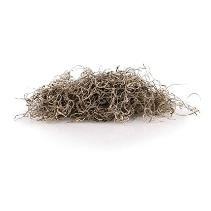 Gardenera Premium Natural Spanish Moss Natural Preserved - Great Ground Cover - Filler for Potted Plants - 1 Quart Bag, GRD-SPANISH-MOSS-1QT - color: SPANISH MOSS, size: 1 Quart
