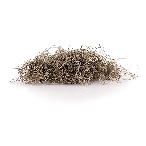 Gardenera Premium Natural Spanish Moss Natural Preserved - Great Ground Cover - Filler for Potted Plants - 1 Quart Bag, GRD-SPANISH-MOSS-1QT - color: SPANISH MOSS, size: 1 Quart