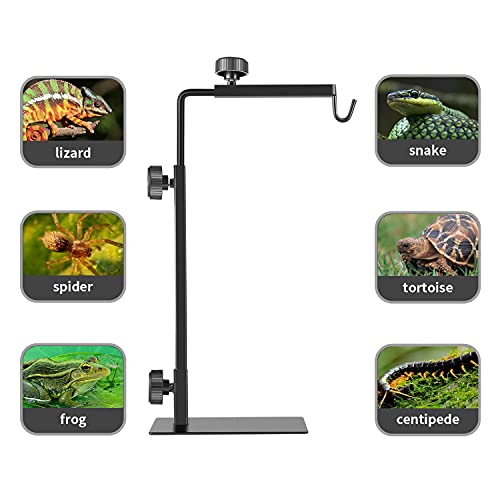 Reptile Lamp Stand, Adjustable 16-31 Inch Domes Heat Lamp Metal Bracket Floor Light Holder for Reptile Terrarium Lighting Heating Light and Dome lampshade, Large - size: Large (Pack of 1)