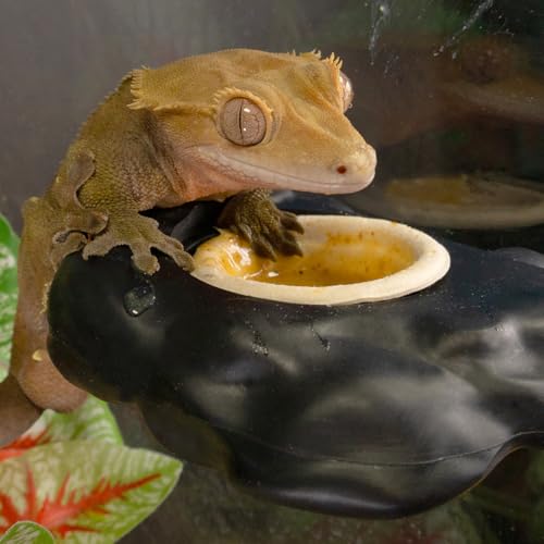 Pangea Black Silicone Gecko Feeding Ledge & 100 .5oz Small Paper Food & Water Cups Bundle