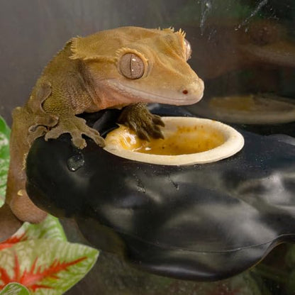 Pangea Black Silicone Gecko Feeding Ledge & 100 .5oz Small Paper Food & Water Cups Bundle