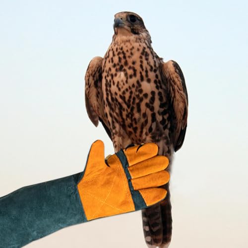 Dog Bite Protection Gloves - Heavy Duty Protective Mitts, Puncture Resistant Dog Training Gear | Scratch Proof Cat Grooming Gloves, Grooming Mitts Sleeve for Pet Care Workers Rescue Wildlife Handlers - color: C