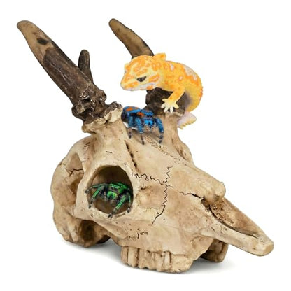Mini Reptile Hide Cave, Small Terrarium Shelter for Spider, Tarantula, Gecko Tank Accessories, Natural Climbing Decor for Terrarium Habitat, 4 Inch(Elk Skull)