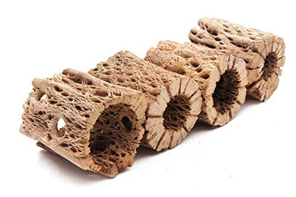 3, 6, 9, 12 Inch All Natural Teddy Bear Cholla Wood Extra Hollow Untreated Organic Aquarium Driftwood Decoration Chew Toy Shrimp Crab Cichlid Nano Tank Birds 1 or 5 Pieces (1 Piece, 3 inch) - size: 1 Piece, 3 inch