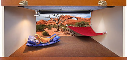 Reptile Habitat Background, Arch with Tree, 15.75" x 36"