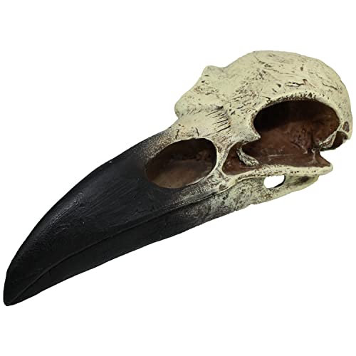 Komodo Reptile Terrarium Realistic Raven Skull Ornament Decor | Easy to Clean Under Water Aquarium or Dry Habitat Decoration Accessory, Large, 8 Inches