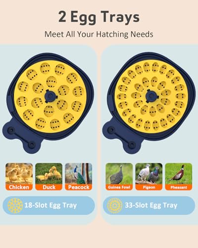 Egg Incubators for Hatching Eggs, Temperature & Humidity Control, Automatic Egg Turning for Hatch Chicken Duck Quail Pigeon Pheasant Partridge Home Classroom Lab with Water Bottle&Air Vent, 18 Eggs