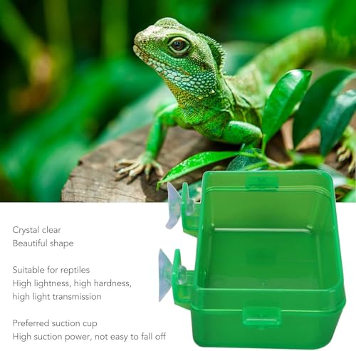Zerodis Green Suction Cup Reptile Feeder, Gecko Lizard Escape Proof Food Water Bowl (S)