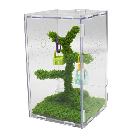 Jumping Spider Enclosure Kit with Acrylic Habitat, Feeding Tongs & Decor – 8.66"x5.12"x4.72" Ventilation Terrarium for Pet Spiders, Reptiles & Small Arboreal Pets