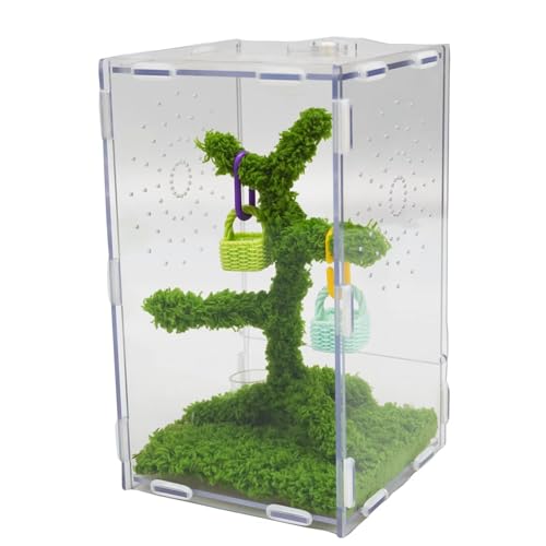 Jumping Spider Enclosure Kit with Acrylic Habitat, Feeding Tongs & Decor – 8.66"x5.12"x4.72" Ventilation Terrarium for Pet Spiders, Reptiles & Small Arboreal Pets