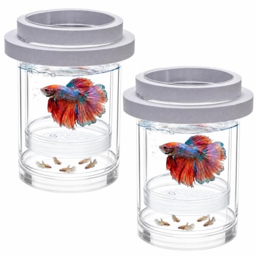 Breeder Box for Fish Tank, 2 Pieces, Floating | Plastic Aquarium Isolation Box, Mesh Fish Nursery Separator Tank Hatchery Incubator for Shrimp, Betta, Clownfish, Guppy