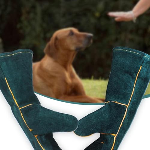 Animal Handling Gloves - Bite Proof Gloves, Multipurpose Bird Handling Gloves | Scratch Resistant PU Leather Pet Grooming - color: Green 35cm