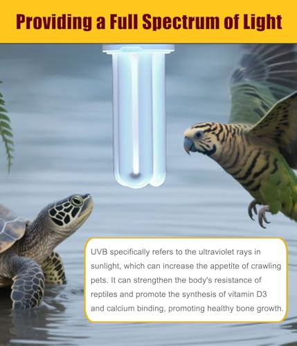 KINGYEENUO E26 UVA UVB Light Bulb for Birds 2.4 UVB 20W Compact Flourescent Lamp for All Kinds Captive Birds, Natural Sunlight Simulation Bird Parrot Light Bulb Compact UVB Lamp Bird Cage UVB Light