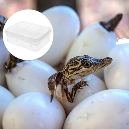 2pcs Reptiles Egg Incubator Habitat Cage Feeding Hatching Container Incubator Reptile Breeding Box 16 Holes Portable Plastic Mini Pet Houses for Hatching Reptile Spider Snake
