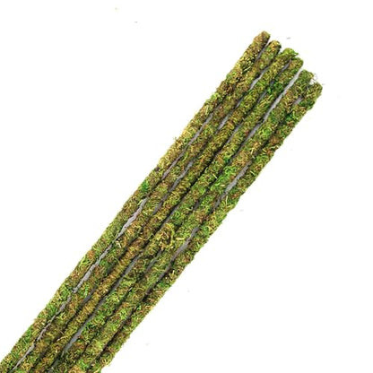 Supermoss Galápagos (05321) Mossy Terrarium Sticks (6 Pack), 24" - size: 24"