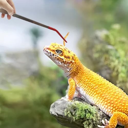 Feeding Tongs, 15 Inch Extra Long Stainless Steel Aquarium Tongs with Rubber Tip, Curved Long Tweezers Terrarium Feeder Tool for Reptile Tank Accessories