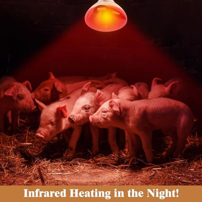250W Red Heat Lamp Bulbs for Chicken,Infrared Flood Light Heat Lamp Bulb, Incandescent Light Heat Lamps for Chicks, Reptile, Pets, Par38 Glass E26 Base 2PCS - size: 250W 2PCS
