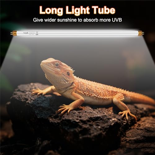 UVB Light for Reptiles Bearded Dragon, 3 Pack T5 UVB Reptile Light UVB Bulb 10.0 24W UVA UVB Reptile Light Bulb Terrarium Light Lamp Tube for Turtle Chameleon Leopard Gecko Snake Tank, 22 Inch - size: T5-22 Inch(3 Pack)
