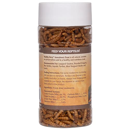 Healthy Herp Insectivore Reptile Treat Mealworms - All Natural, Nutritious Turtle Food, Bearded Dragon Tank Accessories - for Bearded Dragons, Box Turtles, Aquatic Turtles - 0.95 oz (27g)