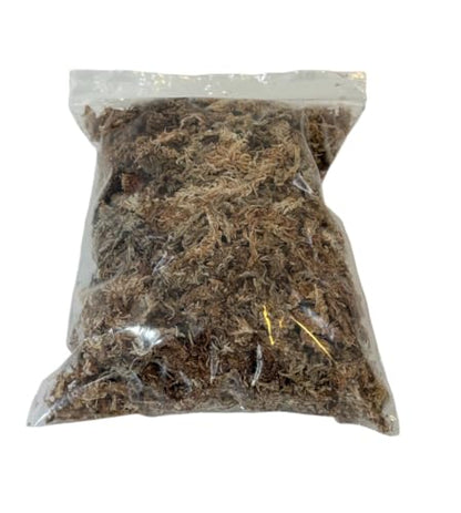 BugzyBugs Vivarium Accessories 6 Quart Starter Kit for Reptile Isopods Springtails Bugs Small Amphibian Crustacean Culturing