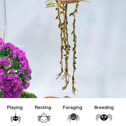 Jumping Spider Decor | Reptile Cage Toys Vines - Jumping Spider Enclosure Decor,for Snakes Ball Pythons Chameleons Mantis Gecko Tortoise Frog Bearded Dragon