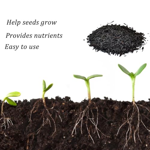 Horticultural Charcoal, Rice Husk Natural Activated Charcoal for Plants Indoor Biochar Soil Amendment Organic for Terrariums - 2.2 lbs