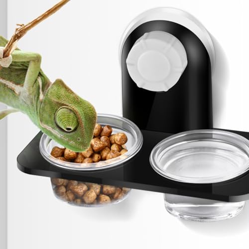 HEMOTON 2pcs Reptile Feeder Bowls with Suction Cups, Plastic Double-Compartment Gecko Food and Water Feeding Bowls for Lizards and Small Reptiles Terrarium Use
