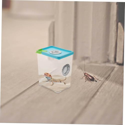 BESPORTBLE 1pc Acrylic Reptile Feeding Box Ventilation Pet Breeding Habitat Safe and Comfortable Terrarium for Spiders and Other Pets Approx Color Varies