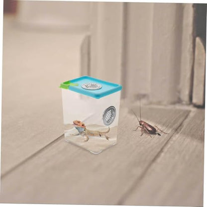 BESPORTBLE 1pc Acrylic Reptile Feeding Box Ventilation Pet Breeding Habitat Safe and Comfortable Terrarium for Spiders and Other Pets Approx Color Varies