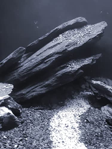Natural Slate Stones 8 to 10 Inches - USA Sourced and Packaged for Aquascaping Aquariums, Terrariums, Paludariums, Reptile Enclosures, and Gardens (8-9 lbs)