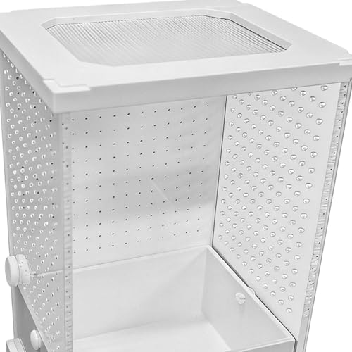 Acrylic Tank, Praying Mantis Enclosure, 12x12x12 Inches Clear Terrarium with Ventilation Mesh, Reptile Habitat, Cage with Secure Lid, Enclosure for Small Reptiles and Spiders - size: Small