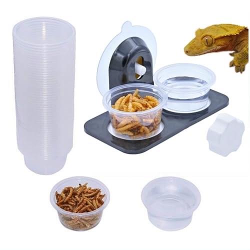 100 Cups + Feeding Ledge [Non-Suction Cup], Reptile Amphibian Food Bowls and Water Dish for Crested Gecko, Lizard Or Other Small Pet Feeder Ledge Accessories Supplies - 1oz Cups 100 pcs - color: 100 Cups+Ledge