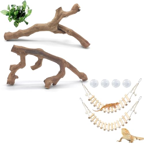 VCEPJH Snake Climbing Branch, 2Pcs Reptile Wood Natural Cork Log and 2 Pcs Reptile Bridge Leopard Gecko Climbing Ladder Wooden Basking for Crested Gecko Bearded Dragon Hermit Crab