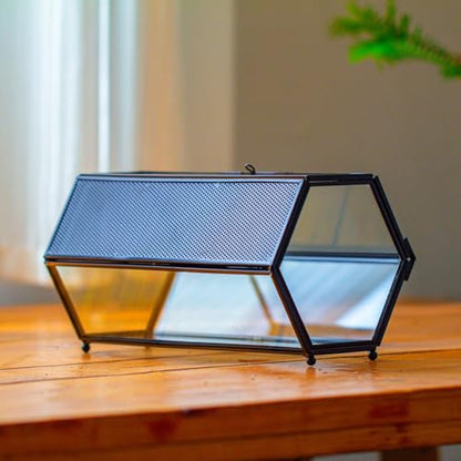 NCYP Small Glass Enclosure Terrarium with Mesh & Door for Tiny Beetle - Hexagon Jumping Spiders Vented Glass Terrarium 7.87'' x 4.52'' x 3.93'', Black (Plants Not Include) - size: 7.87'' x 4.52'' x 3.93''