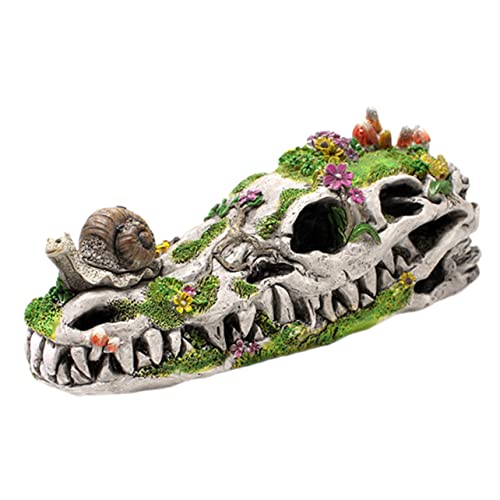 Homoyoyo Terrarium Decor Animal Decor Resin Crafts Dinosaur Garden Statue Snail Ornament Halloween Room Decorations Resin Snail on Dinosaur Skull Dinosaur Skull Adornment Garden Adornment