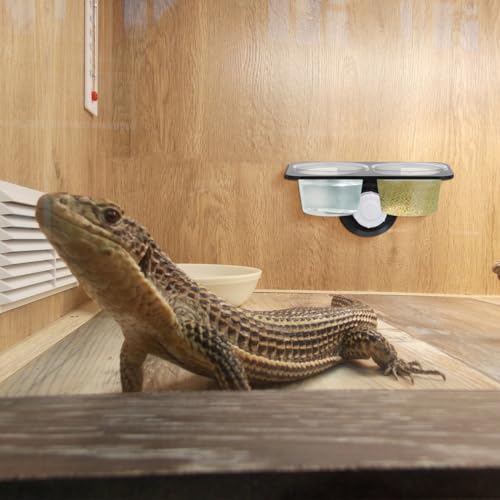 balacoo Reptile Feeder Food and Water Bowl with Suction Cup Wall Mounted Acrylic Dish for Gecko Lizard Turtle Scorpion Small Reptiles Amphibians 4.52X2.36X2.16In