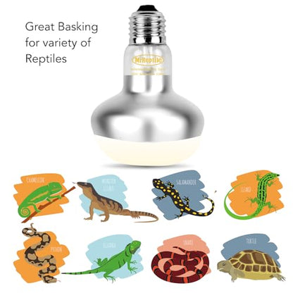 MRREPTILE Reptile Heat Lamp, 2-Pack 100W Intense Spot, Bearded Dragon & Lizard Basking Light, Simulated Midday Sun for Reptiles & Chickens - size: 100W Intense Basking Spot