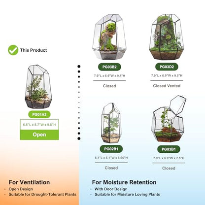 NCYP No Door Geometric Glass Terrarium Planter for Small Succulent, Small Cacti, Black Irregular Opened Terrarium Pot, Indoor Home Garden Office Tabletop Decor, 6.5" x 5.7" x 9.8" (No Plants) - size: 6.5"x5.7"x9.8"