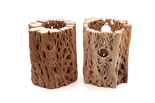 3 to 48 Inch All Natural Teddy Bear Cholla Wood Extra Hollow Large Untreated Organic Aquarium Driftwood Decoration Chew Toy Shrimp Crab Multi-Quantity (2 Pieces, 3 inch) - size: 2 Pieces, 3 inch