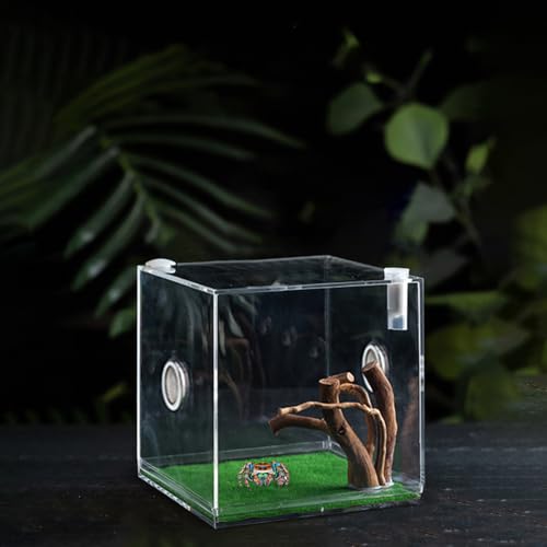 Reptile Growth Terrarium - Acrylic Jumping Spider Clear Container, Clearer View Small Pet Enclosure, Practical Convenient Spacious Habitat, Durable Housing Design Versatile Use | for Snails Lizards Be - color: Aqua