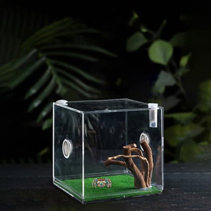Reptile Growth Terrarium - Acrylic Jumping Spider Clear Container, Clearer View Small Pet Enclosure, Practical Convenient Spacious Habitat, Durable Housing Design Versatile Use | for Snails Lizards Be - color: Aqua