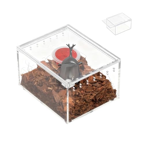 Spider Terrarium, Transparent Breeding Feeding Box, Acrylic Snake Enclosure Feature, Reptile and Amphibian Habitat Design with Usage for Lizard Frog Turtle Observation Breeding Feeding Pet Home