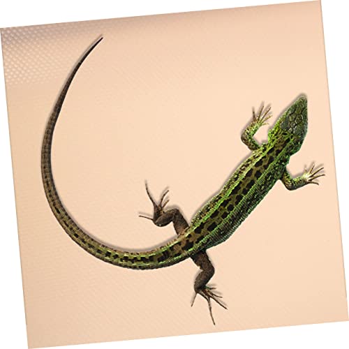 POPETPOP Eva Reptile Carpet for Tortoise and Lizards Non- Eva Substrate Mat Terrarium Liner for Bearded Dragon and Leopard Tanks Lotus - color: Beige